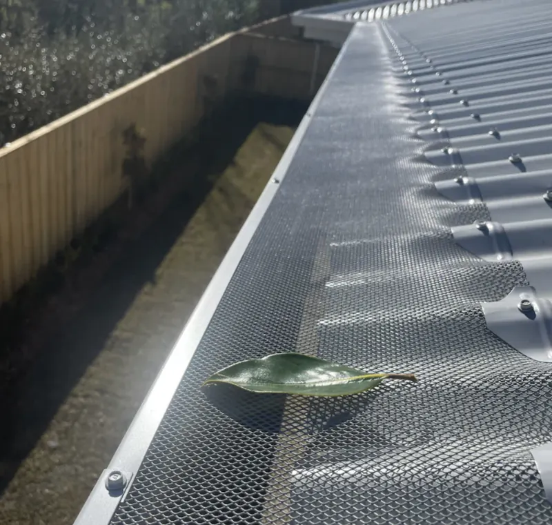 Leaf resting on top of the mesh, kept out of the gutter
